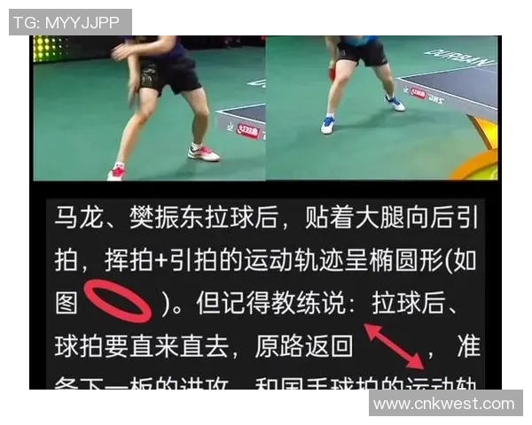 乒乓球的魅力与坚持：深入了解上海乒乓球队的训练与耐力之道