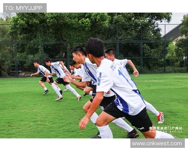 新化足球明星阵容全景展示精彩瞬间与辉煌成就