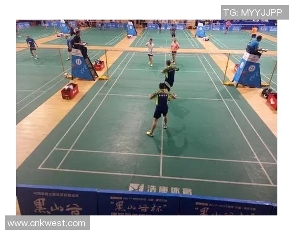 赛后复盘：武汉羽毛球队 vs 深圳羽毛球队的耐力