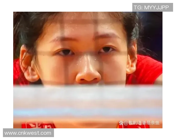 排球评论:南京排球队的快攻得失 排球评论:南京排球队的快攻得失