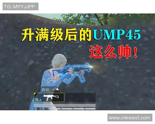 和平精英评论：WE的盯防得失