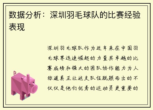 数据分析：深圳羽毛球队的比赛经验表现